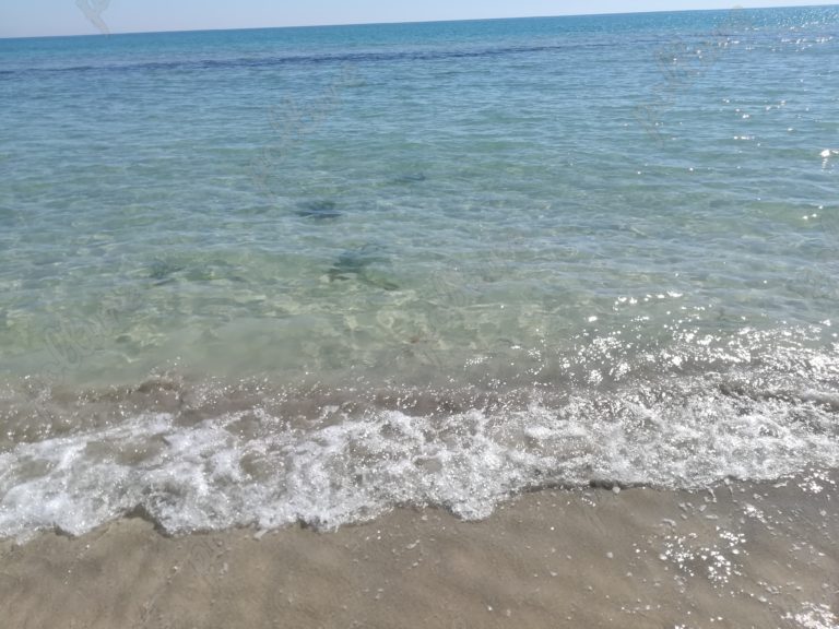 polture-tunisie-plage