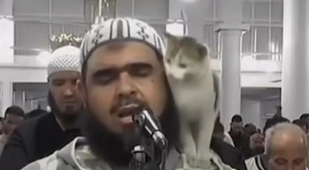 imam chat Algérie