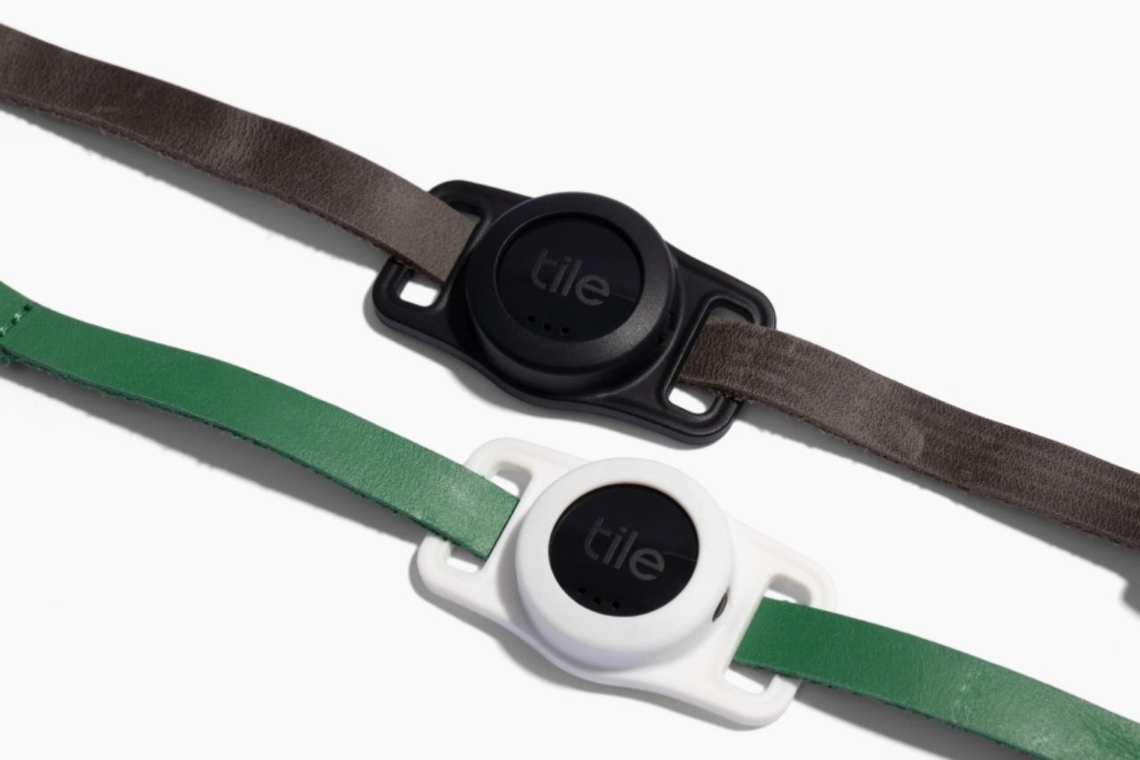 Tile for Cats, un tracker pour suivre de près son chat Polture