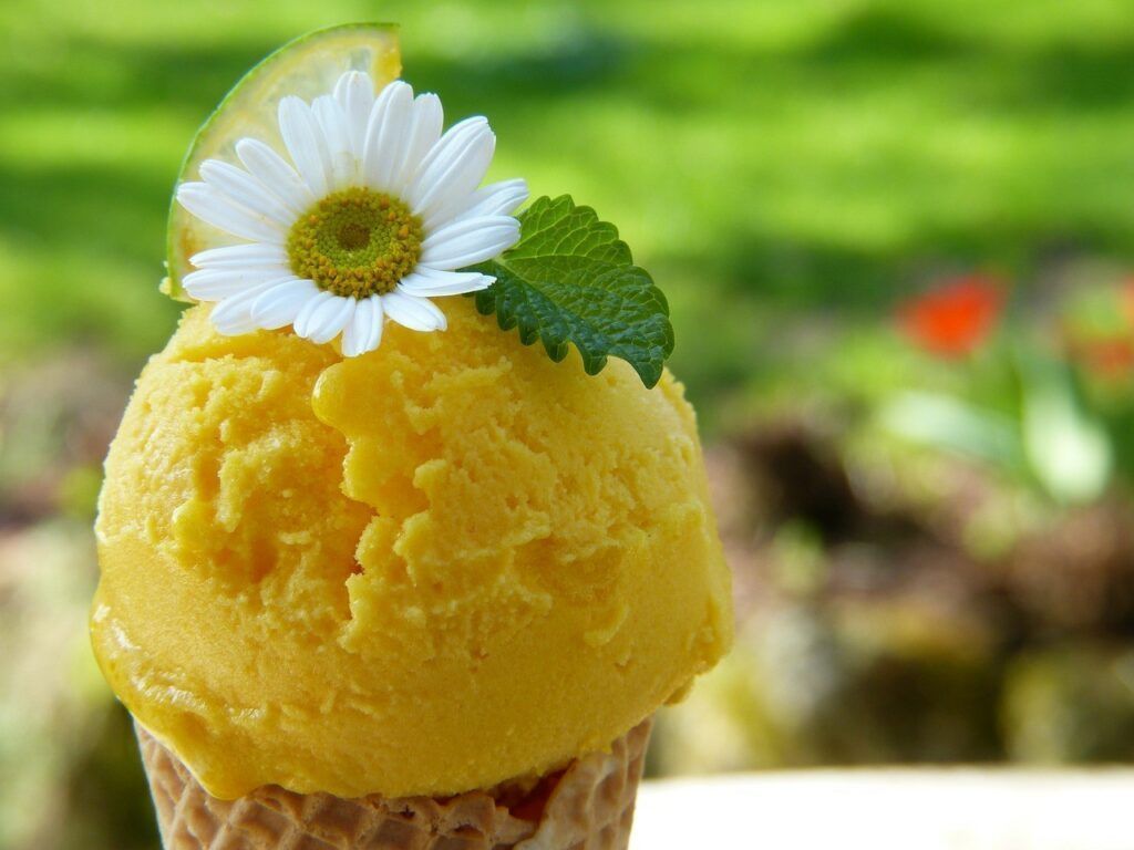 sorbet citron glace