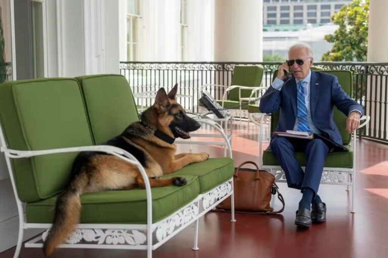 commander Bidens dog