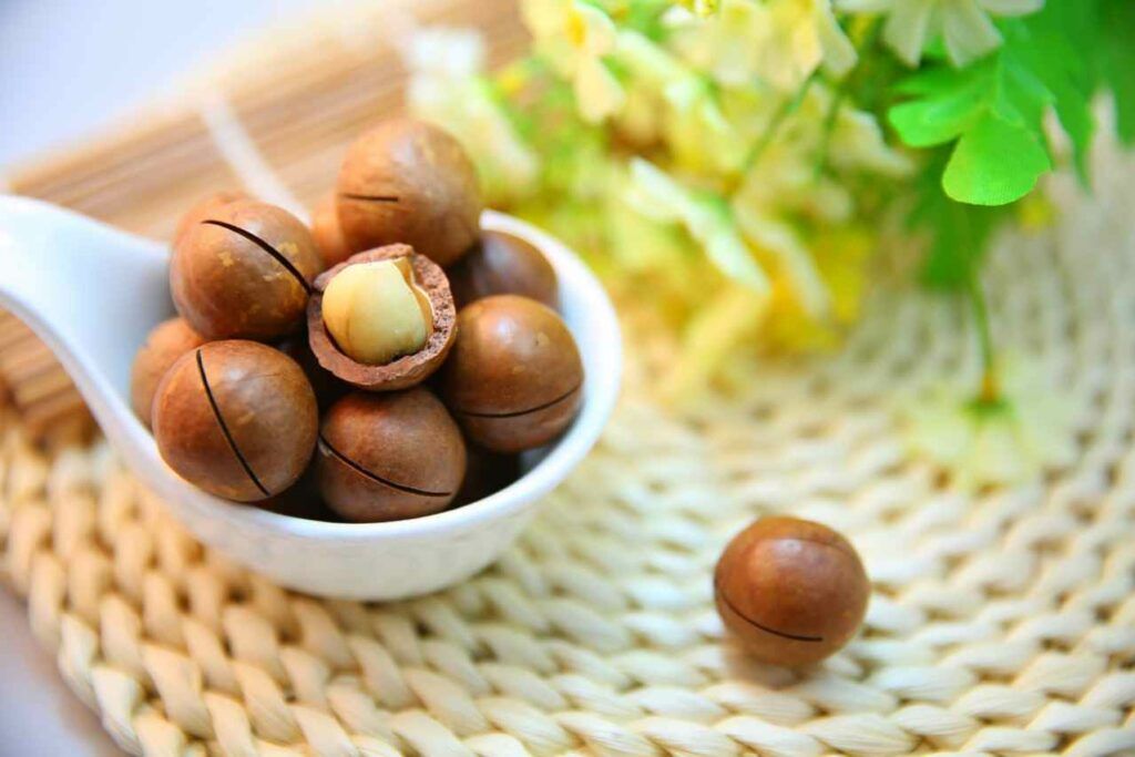 noix de macadamia