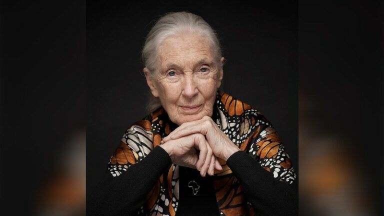 Jane Goodall