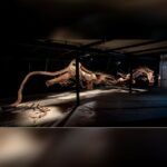 Tétanos par Aïcha Snoussi au 32 Bis