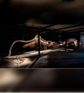 tétanos aicha Snoussi