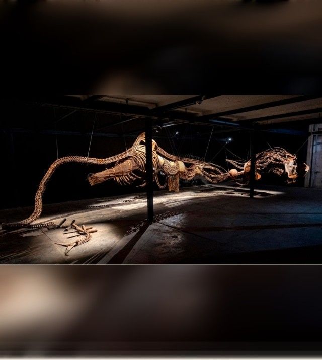 tétanos aicha Snoussi